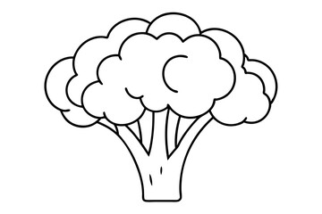 broccoli line art silhouette vector illustration