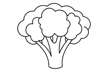broccoli line art silhouette vector illustration