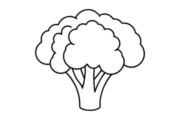broccoli line art silhouette vector illustration