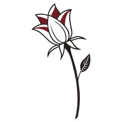 flower icon set vector illustration outline