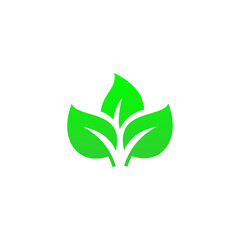 Green leaf icon