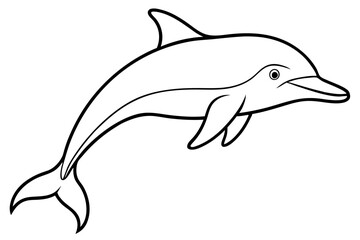 dolphin line art silhouette vector illustration