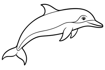 dolphin line art silhouette vector illustration