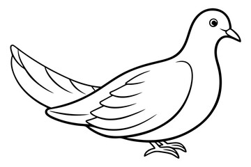 dove line art silhouette vector illustration