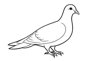 dove line art silhouette vector illustration