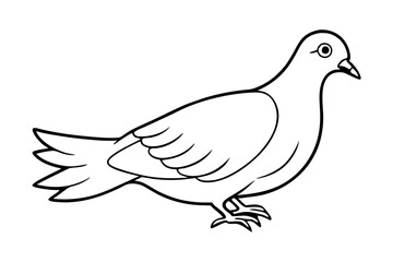 dove line art silhouette vector illustration