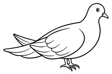dove line art silhouette vector illustration