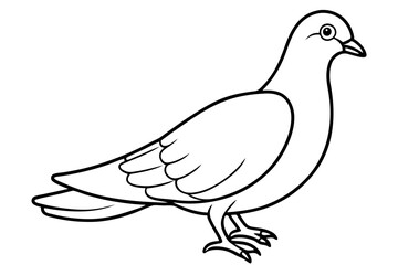 dove line art silhouette vector illustration