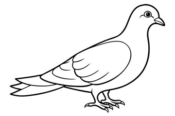 dove line art silhouette vector illustration