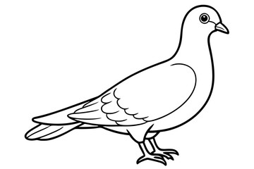 dove line art silhouette vector illustration