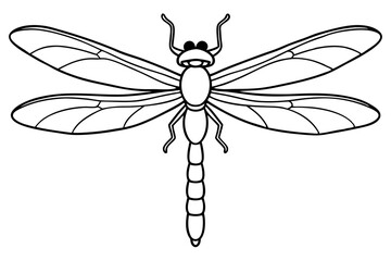 dragonfly line art silhouette vector illustration