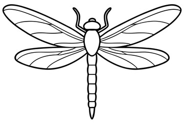 dragonfly line art silhouette vector illustration