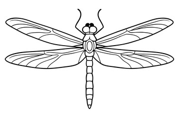 dragonfly line art silhouette vector illustration