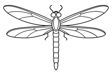 dragonfly line art silhouette vector illustration
