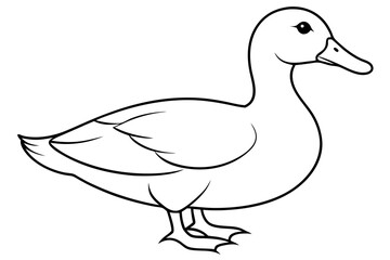 duck line art silhouette vector illustration