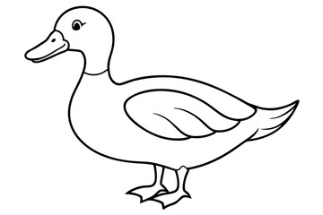 duck line art silhouette vector illustration