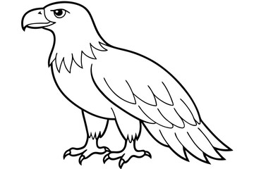 eagle line art silhouette vector illustration