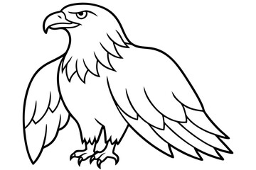 eagle line art silhouette vector illustration