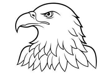 eagle line art silhouette vector illustration