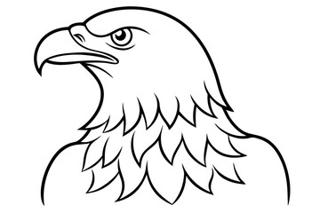 eagle line art silhouette vector illustration