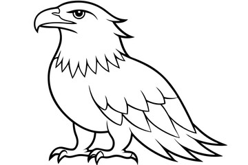 eagle line art silhouette vector illustration