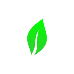 Obraz premium Green leaf icon