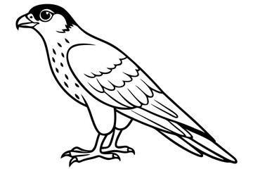 Obraz premium falcon line art silhouette vector illustration