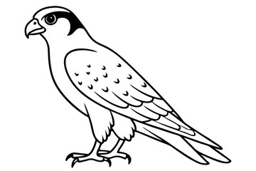 falcon line art silhouette vector illustration