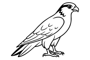 falcon line art silhouette vector illustration