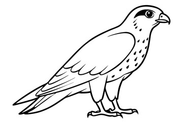 Fototapeta premium falcon line art silhouette vector illustration