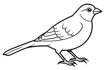 finch line art silhouette vector illustration