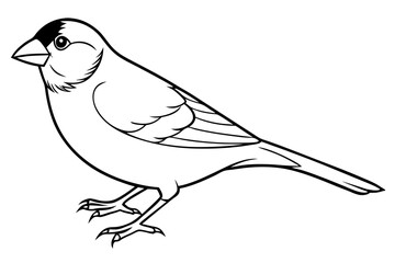 finch line art silhouette vector illustration