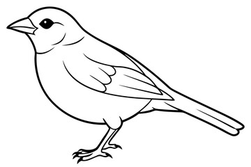 finch line art silhouette vector illustration
