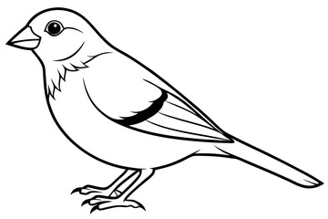 finch line art silhouette vector illustration