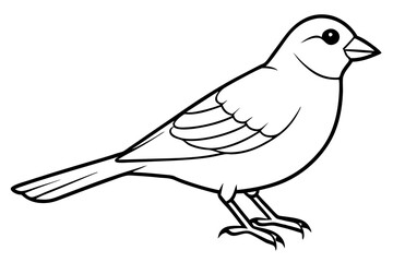 finch line art silhouette vector illustration