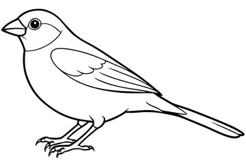 finch line art silhouette vector illustration