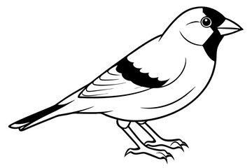 finch line art silhouette vector illustration