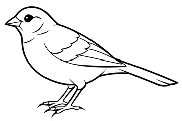 finch line art silhouette vector illustration
