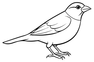 finch line art silhouette vector illustration
