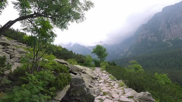 Tatranska magistrala between Strbske Pleso and Popradske pleso in High Tatras mountains in Slovakia during cloudy summer morning