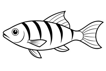 fish line art silhouette vector illustration
