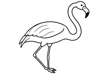 flamingo line art silhouette vector illustration