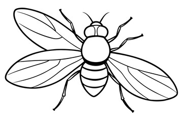 fly line art silhouette vector illustration