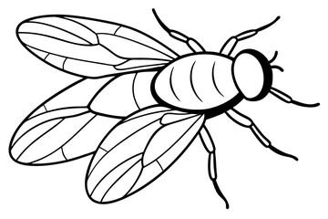 fly line art silhouette vector illustration