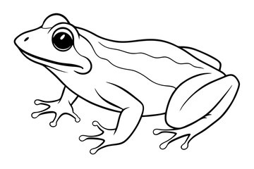 frog line art silhouette vector illustration
