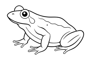 frog line art silhouette vector illustration