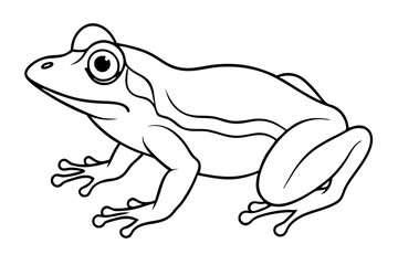 frog line art silhouette vector illustration