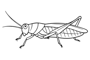 grasshopper line art silhouette vector illustration