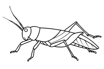 grasshopper line art silhouette vector illustration