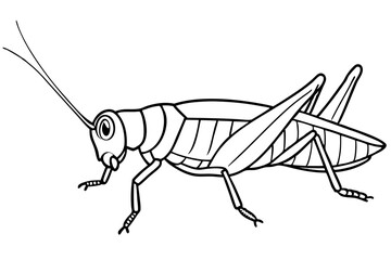 grasshopper line art silhouette vector illustration